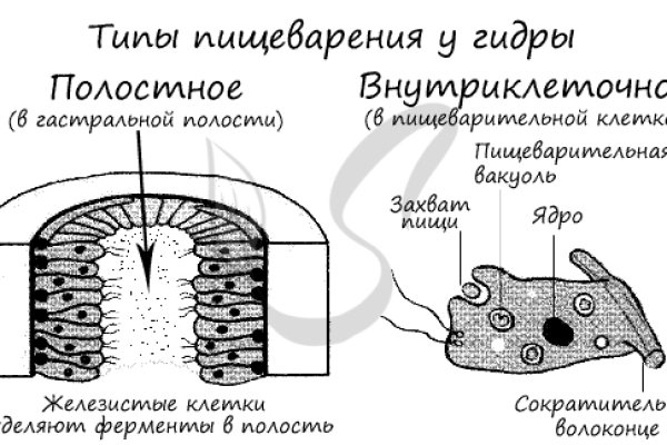 Кракен ссылка официальная