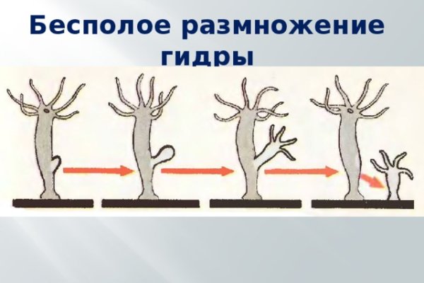 Ссылка на даркнет в тор