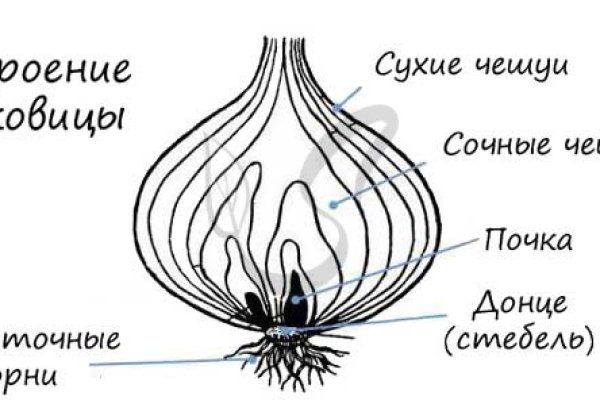 Кракен маркетплейс создатель
