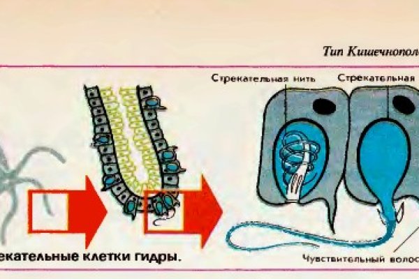 Как восстановить пароль кракен