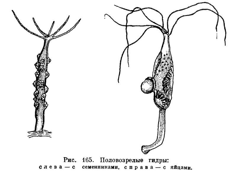 Кракен kr2connect co